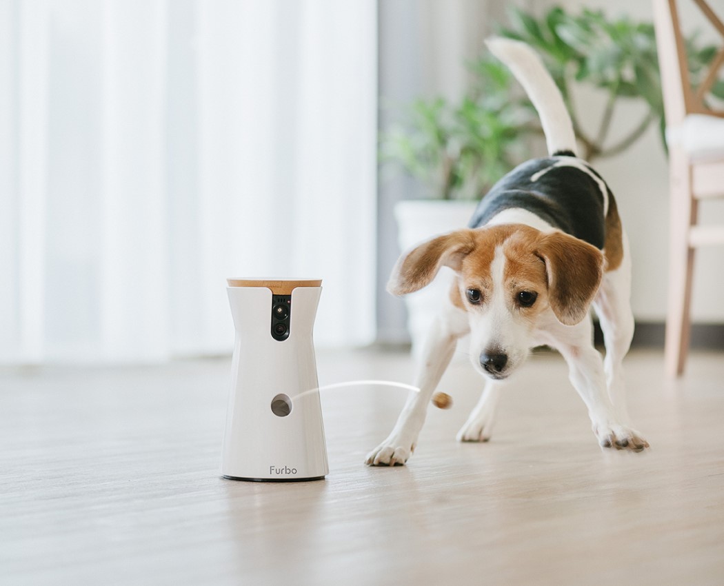 食器设计帮你喂养宠物的好帮手麻将胡了电子游戏智能宠物喂(图2)