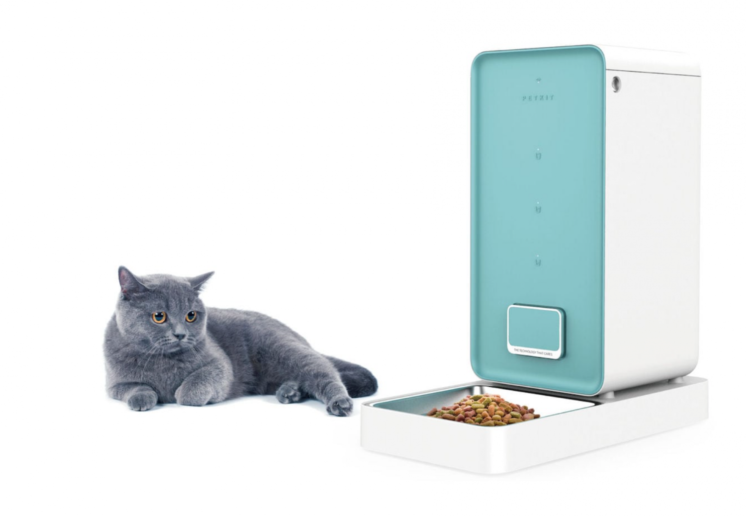 食器设计帮你喂养宠物的好帮手麻将胡了电子游戏智能宠物喂(图7)